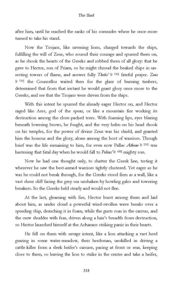The Iliad - Page 312